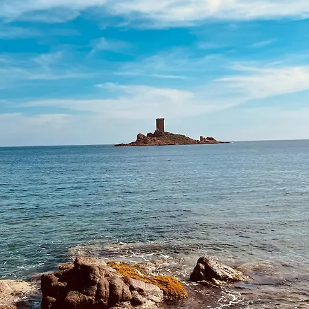 아파트 Ravissant Bastidon Avec Jardin Saint-Raphaël