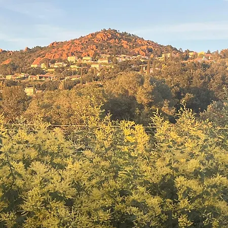 Ravissant Bastidon Avec Jardin